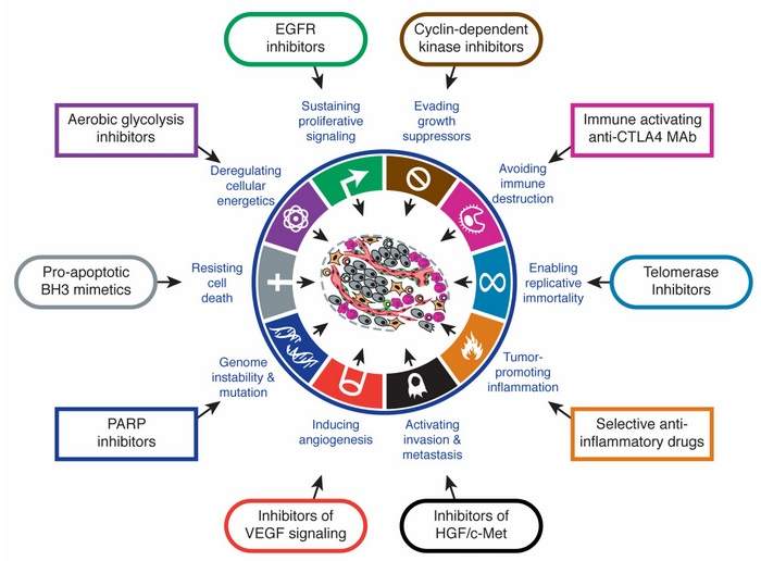 Características moleculares del cáncer